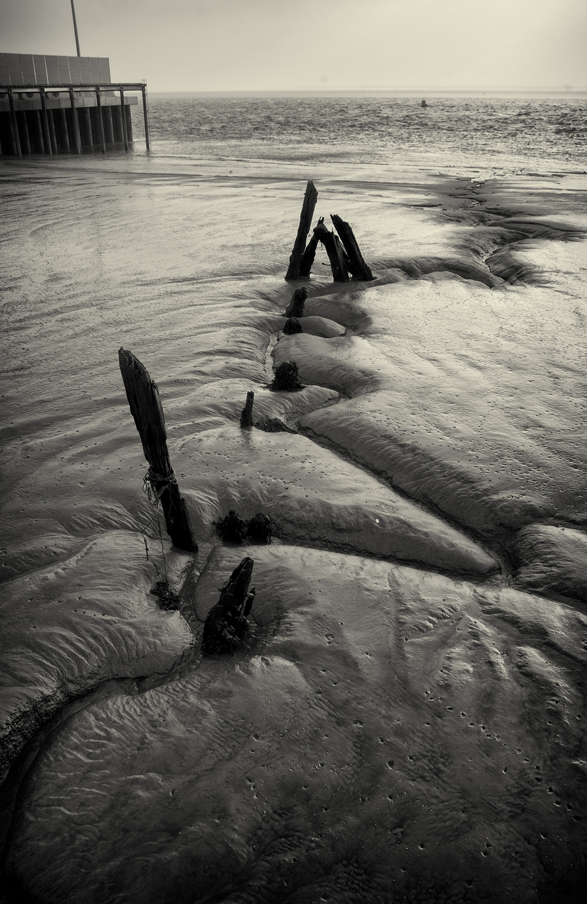 sandlineweb Hedon Viewfinders Photography Club