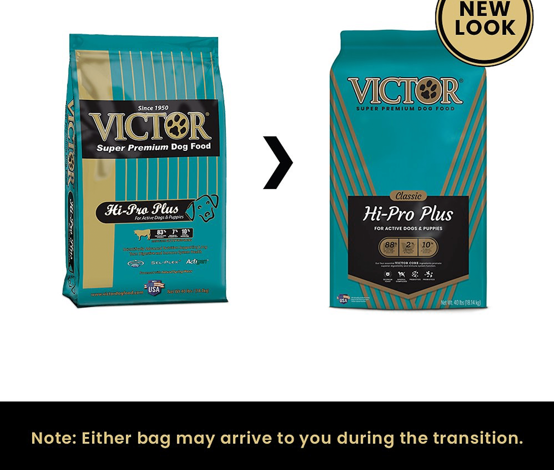 Hi Pro Christmas Promotion 2023 Victor HiPro Plus Heel Boy Heel