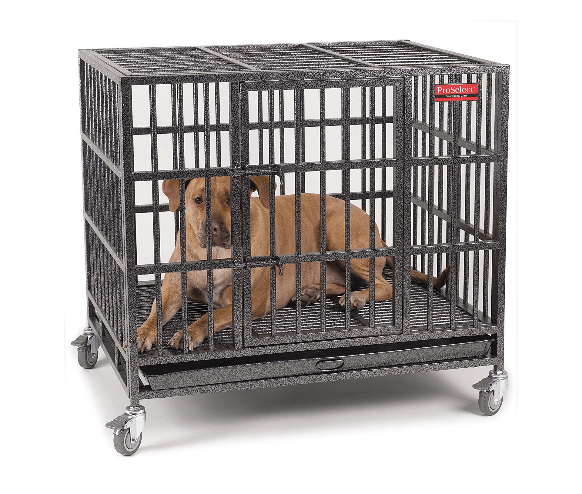 Pro Select Steel Empire Dog Cage 2019 Review
