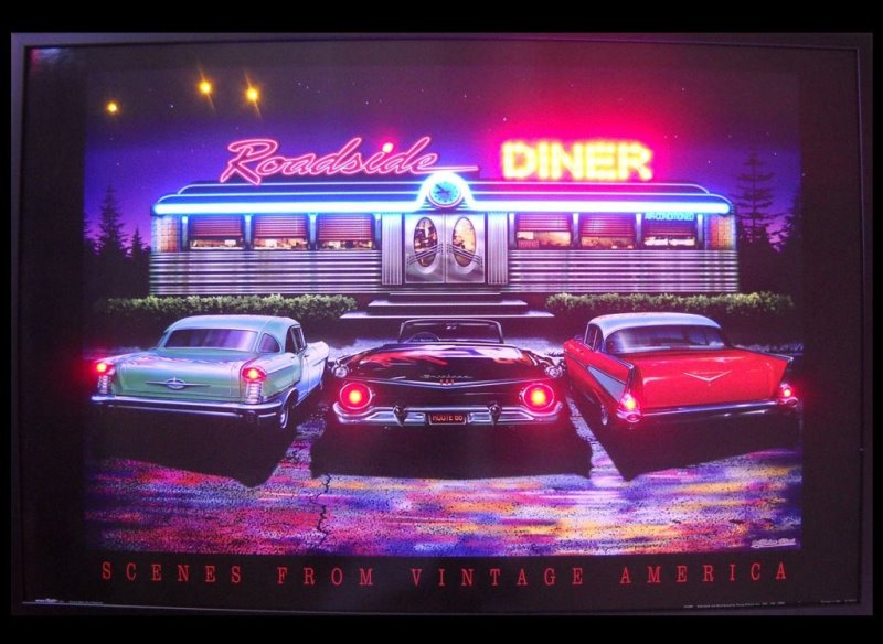 Neon Signs Neon LED Combo 1950 Neon