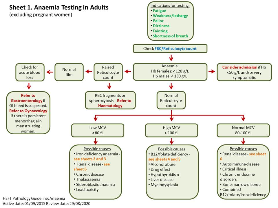 Iron Deficiency Anaemia Treatment Nice Guidelines at Maria Sherrill blog