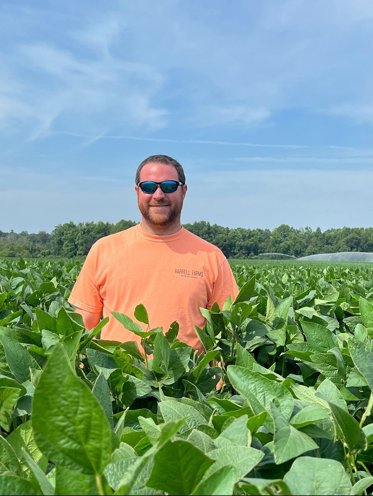 Making World Record Soybeans With Hefty Naturals Hefty Seed Company