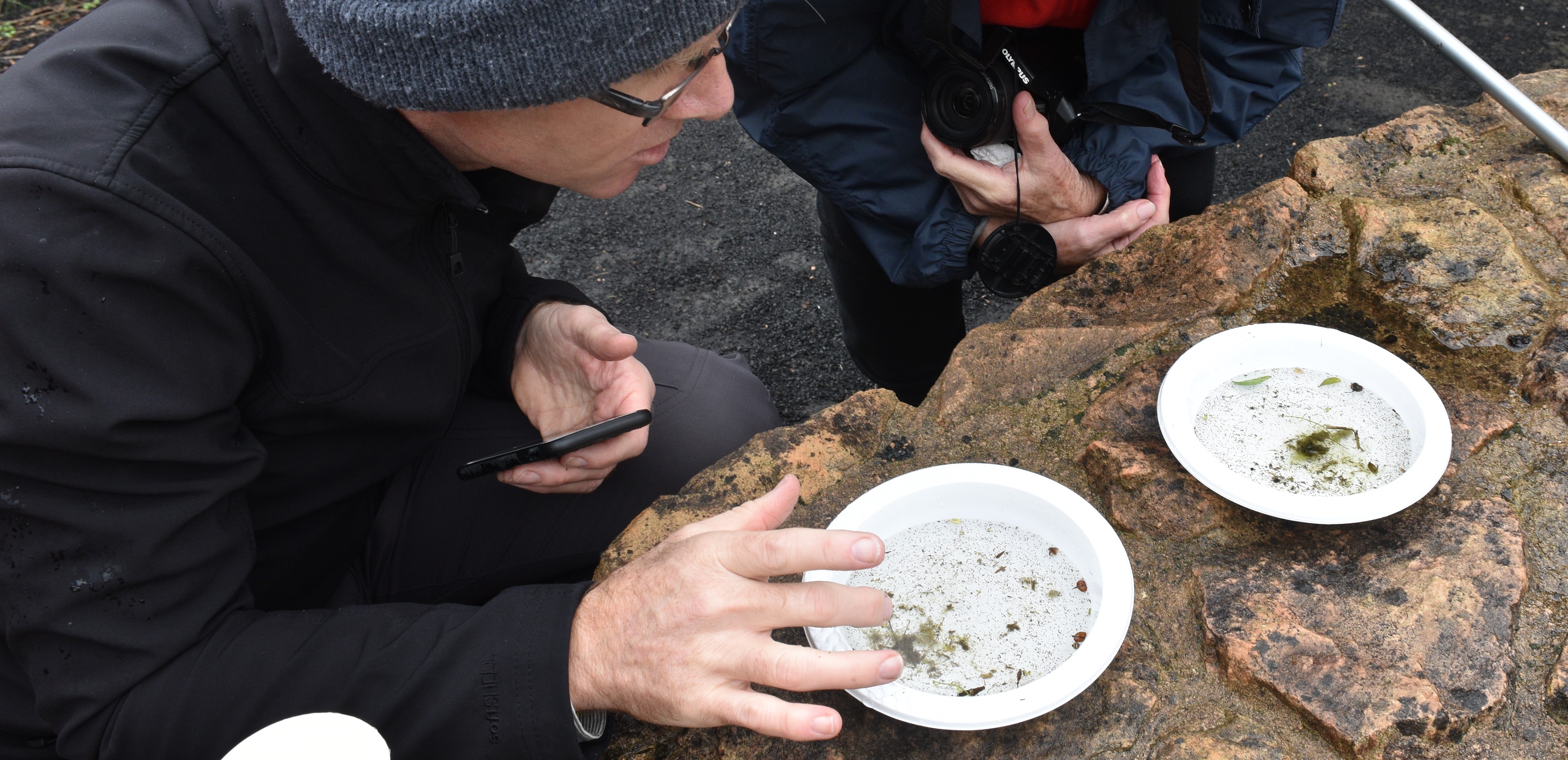 Empowering Mount Gambier through citizen science. Healthy