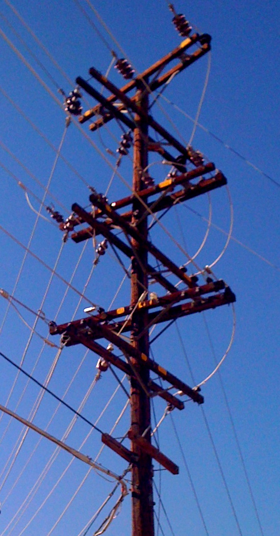 Cutting the (Phone) Line 5 MarketingRelated Factors to Consider