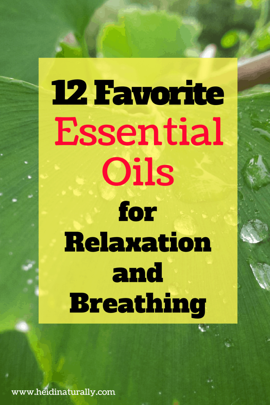 Favorite Essential Oils to Diffuse for Relaxation and Breathing