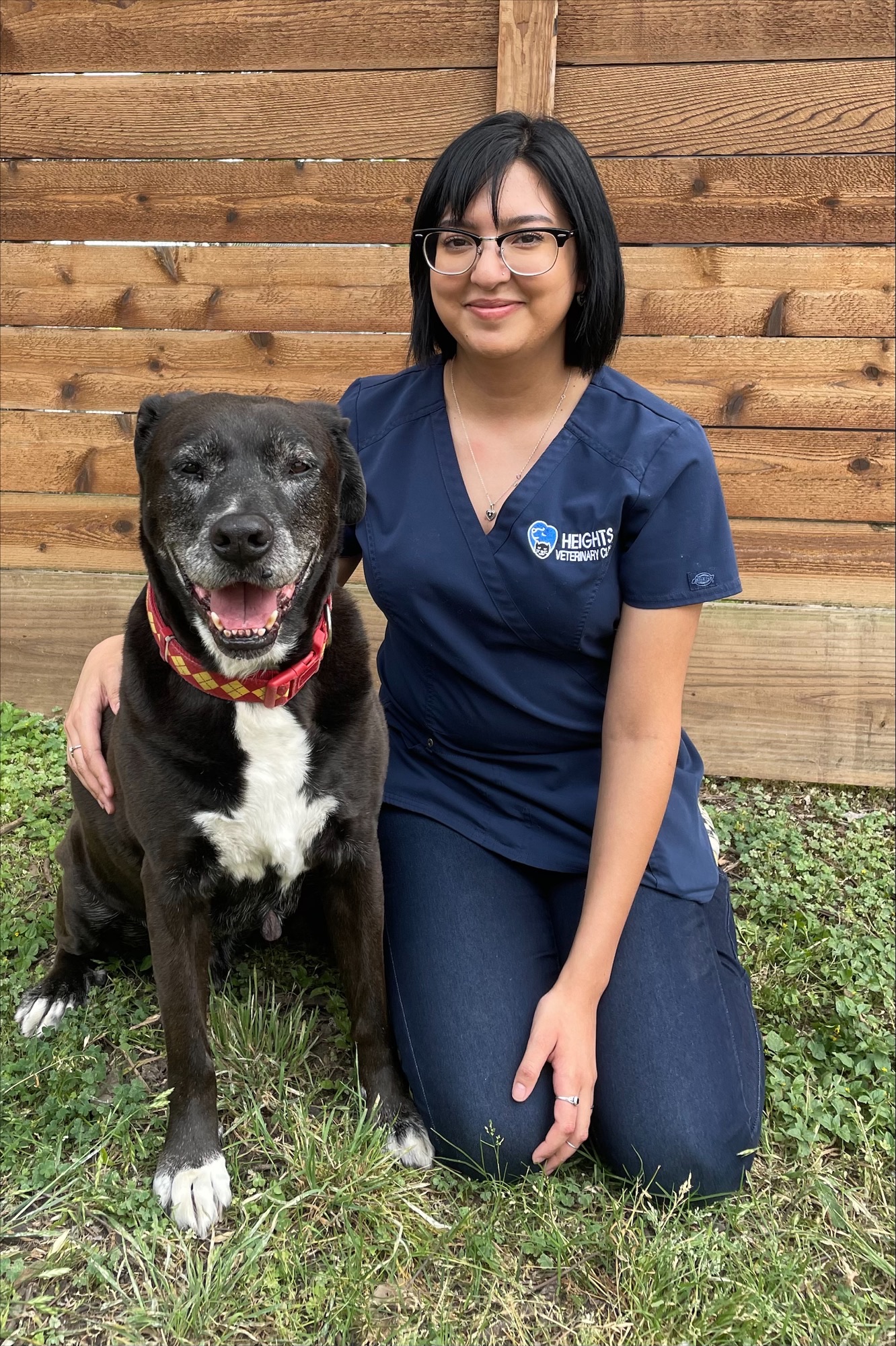vet tech institute of houston reviews Gearldine Yancey