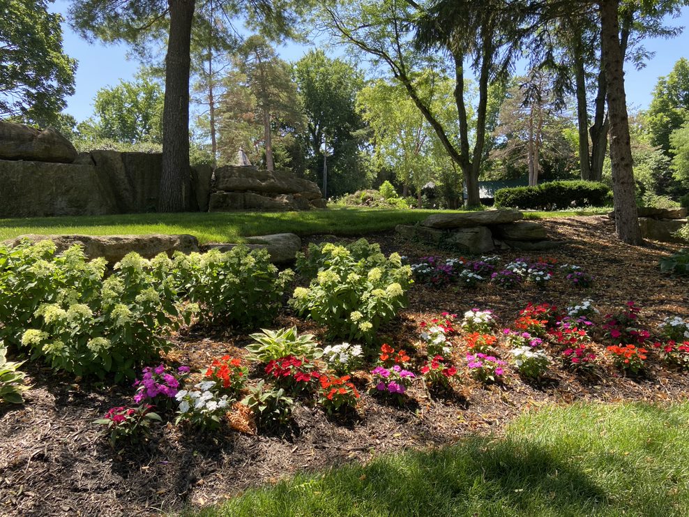 How To Use Heinen’s Online Plant Catalog Heinen Landscape