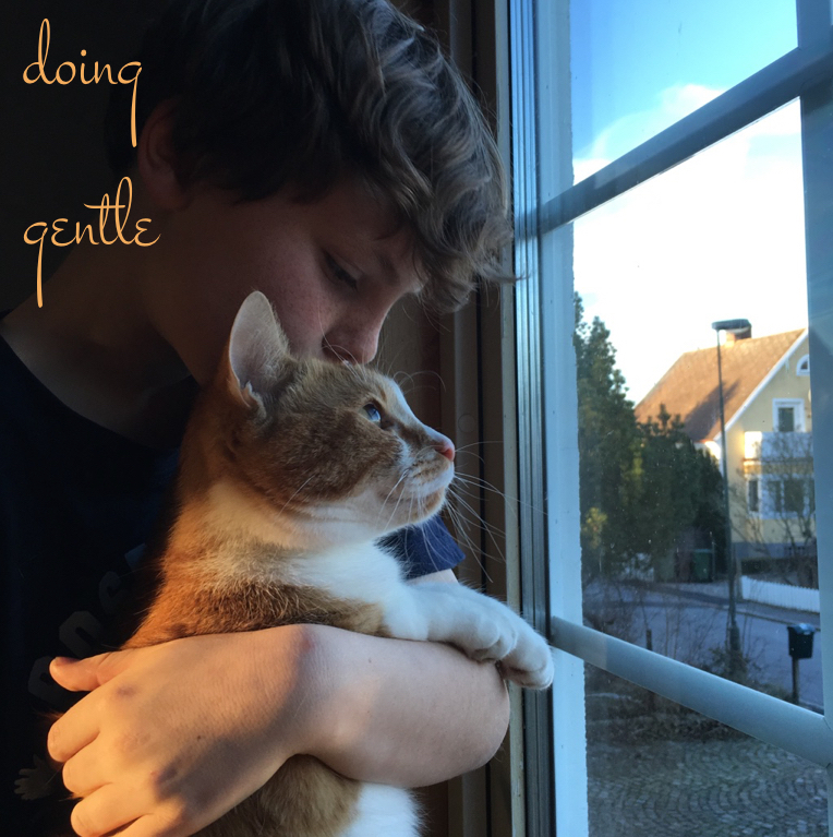 Doing gentle 14 Let yourself off the hook Tankespjarn