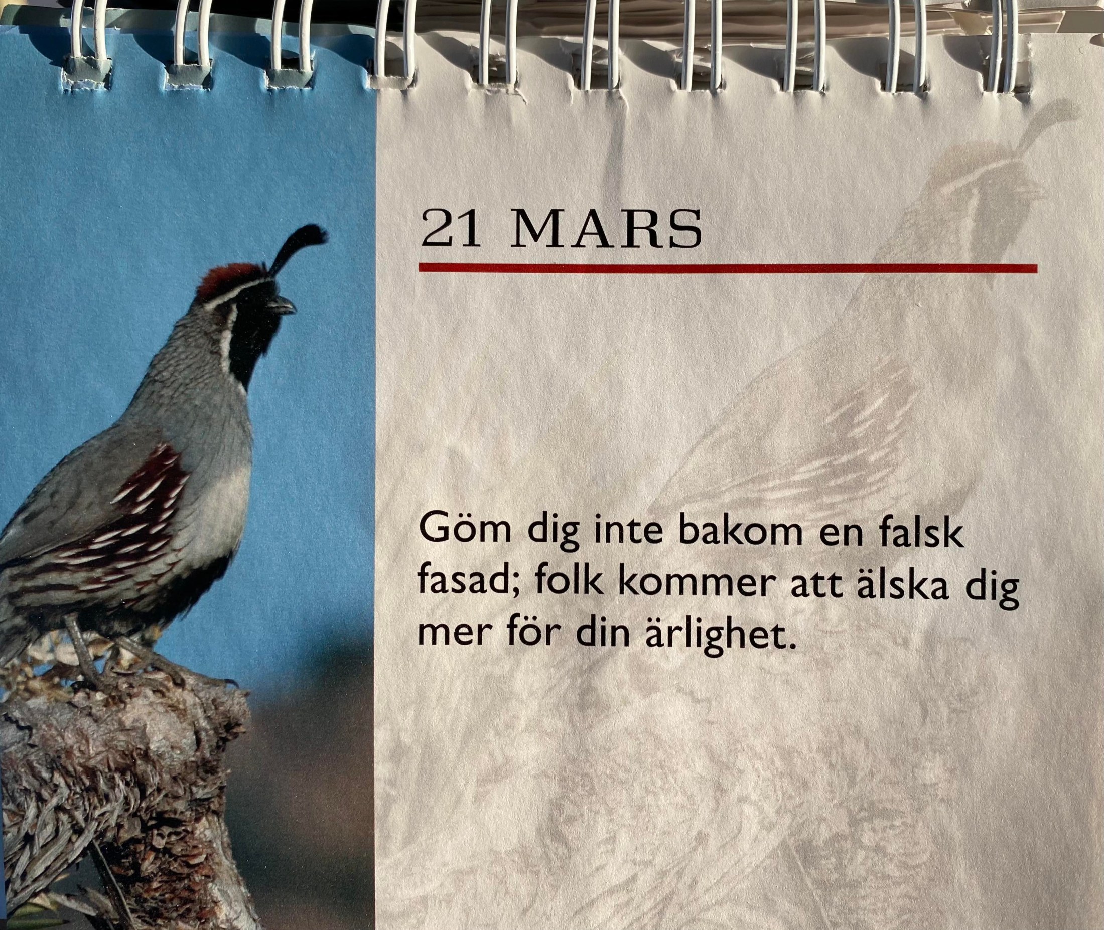 Sanningen ska göra er fria Förnöjsamhet och glädjesprång gör livet