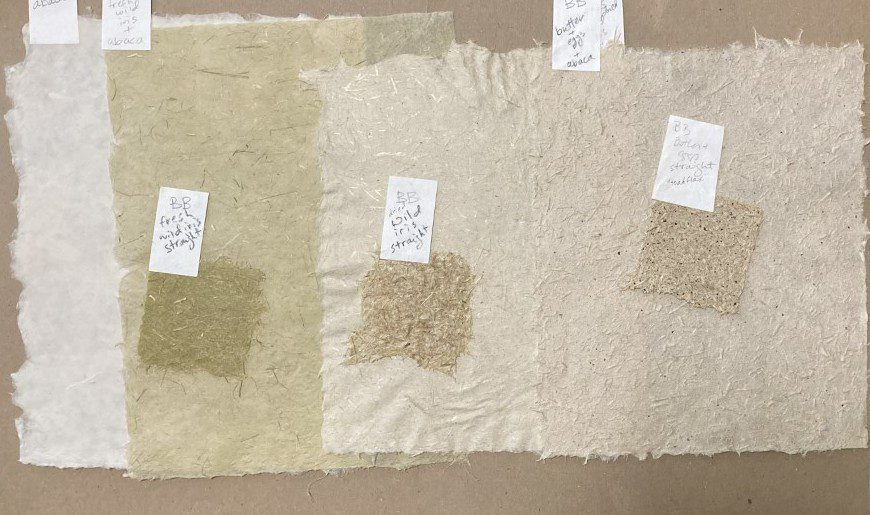 Papermaking from Plant to Page Helen Hiebert Studio