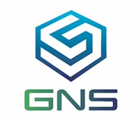 Case study: GNS America's broken safety catcher - HEL Inc.