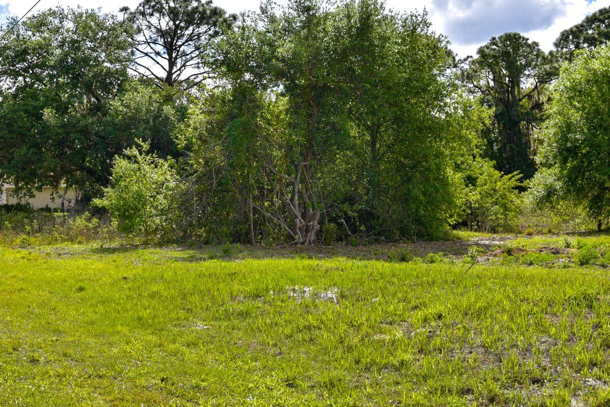 Cleared Lake Placid land lot near Grassy Lake! HeliosLand