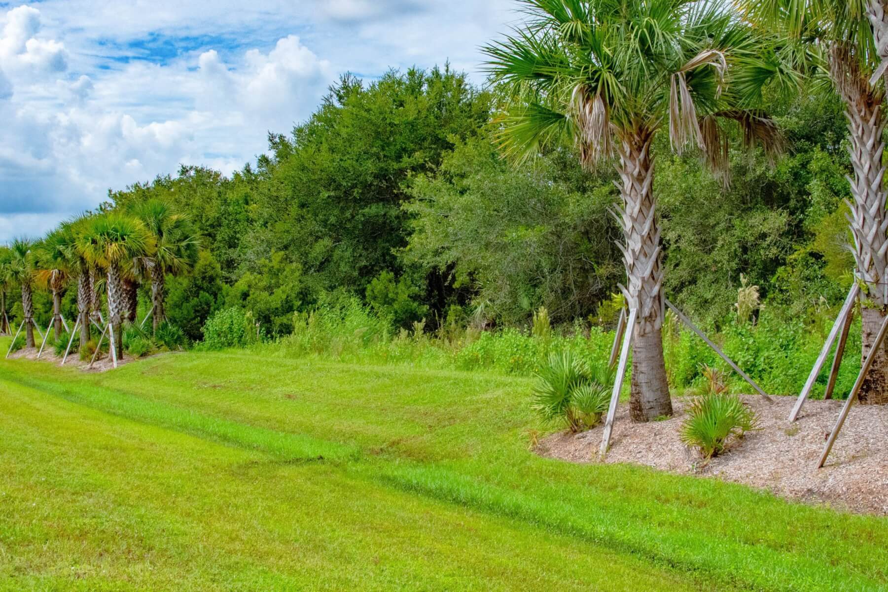 Vacant Residential Land Punta Gorda Great Road Access! HeliosLand