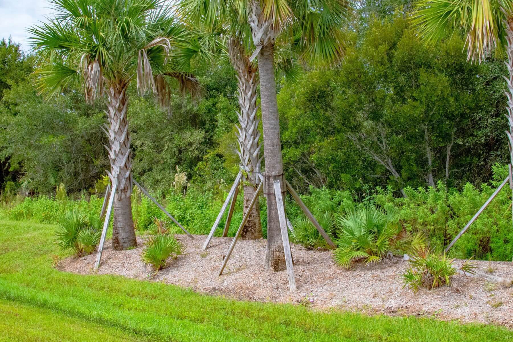 Vacant Residential Land Punta Gorda Great Road Access! HeliosLand