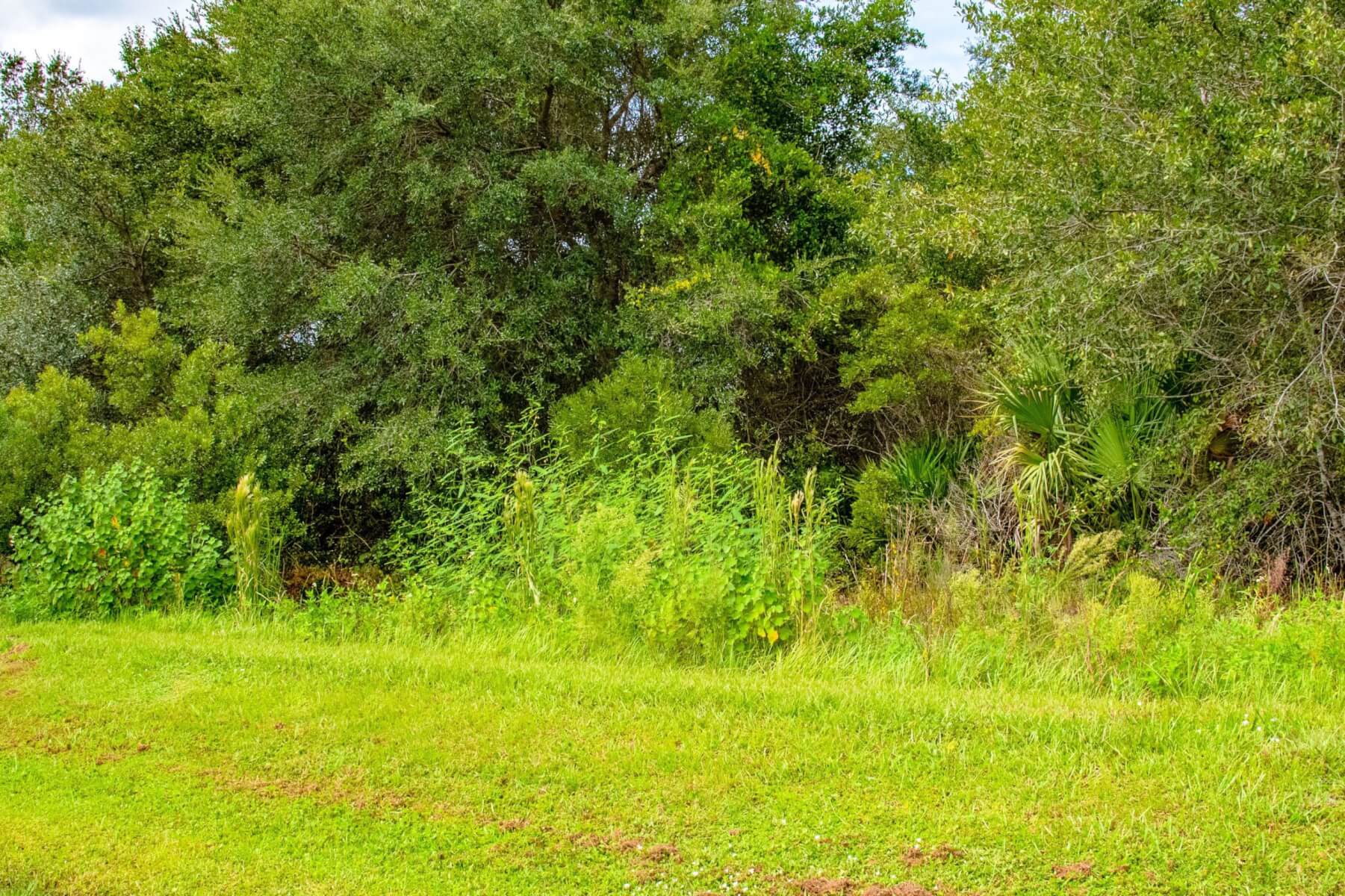 Vacant Residential Land Punta Gorda Great Road Access! HeliosLand