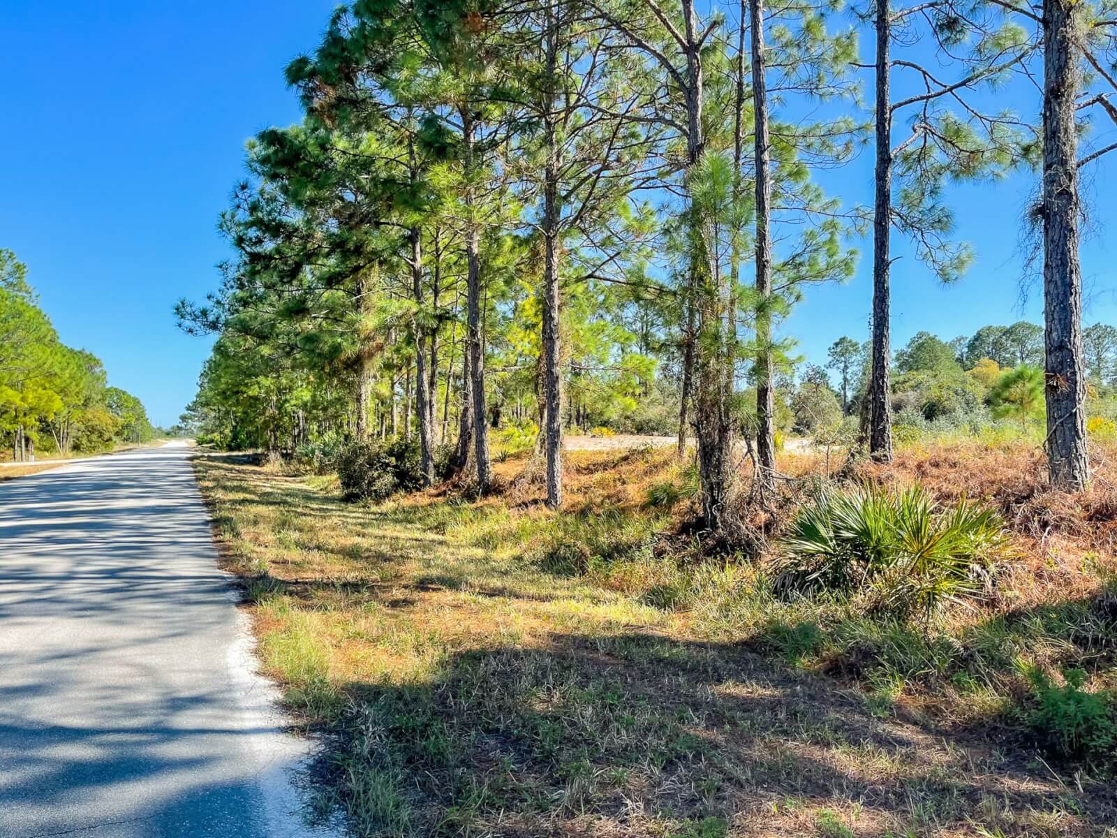 Lake Placid 0.23 Residential Lot with paved road access HeliosLand