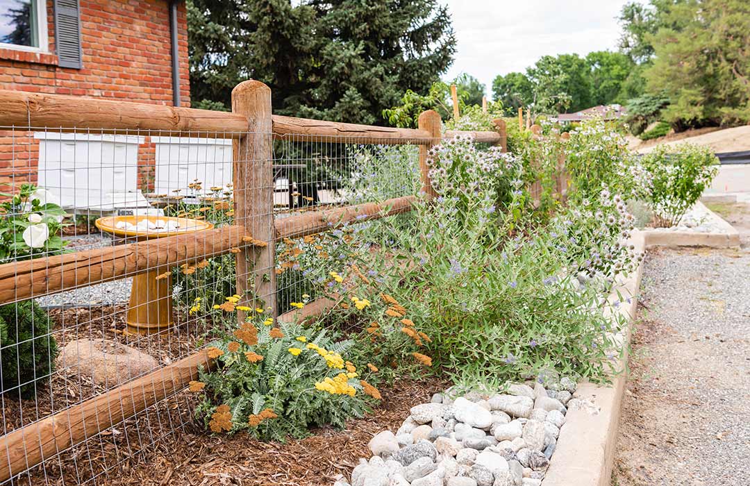 Lawn Alternatives for Colorado Helios Landscape Design