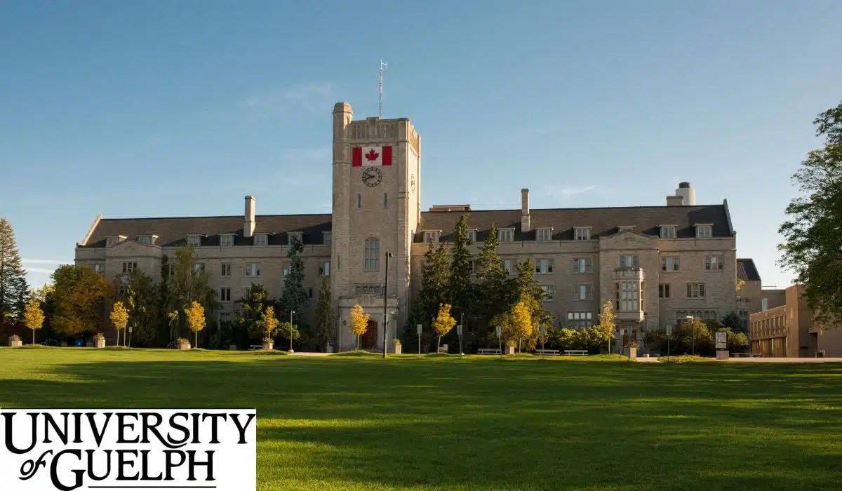 Experience the Best of Guelph with Our TopQuality Cleaning Services