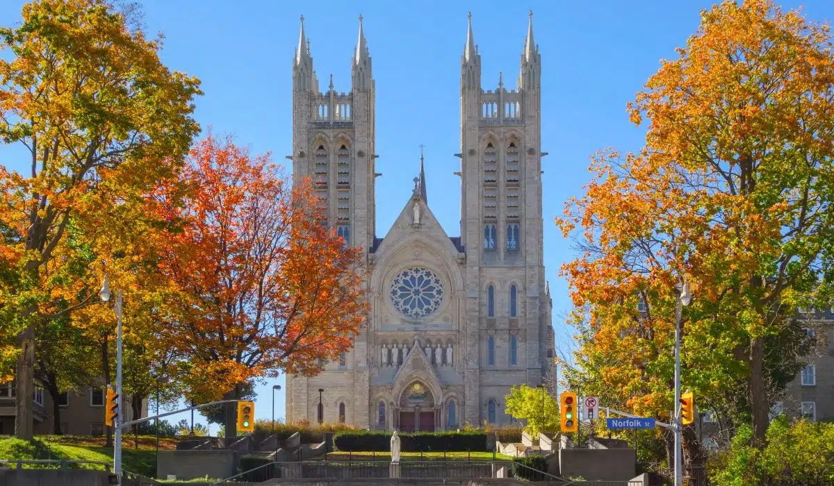 Experience the Best of Guelph with Our TopQuality Cleaning Services