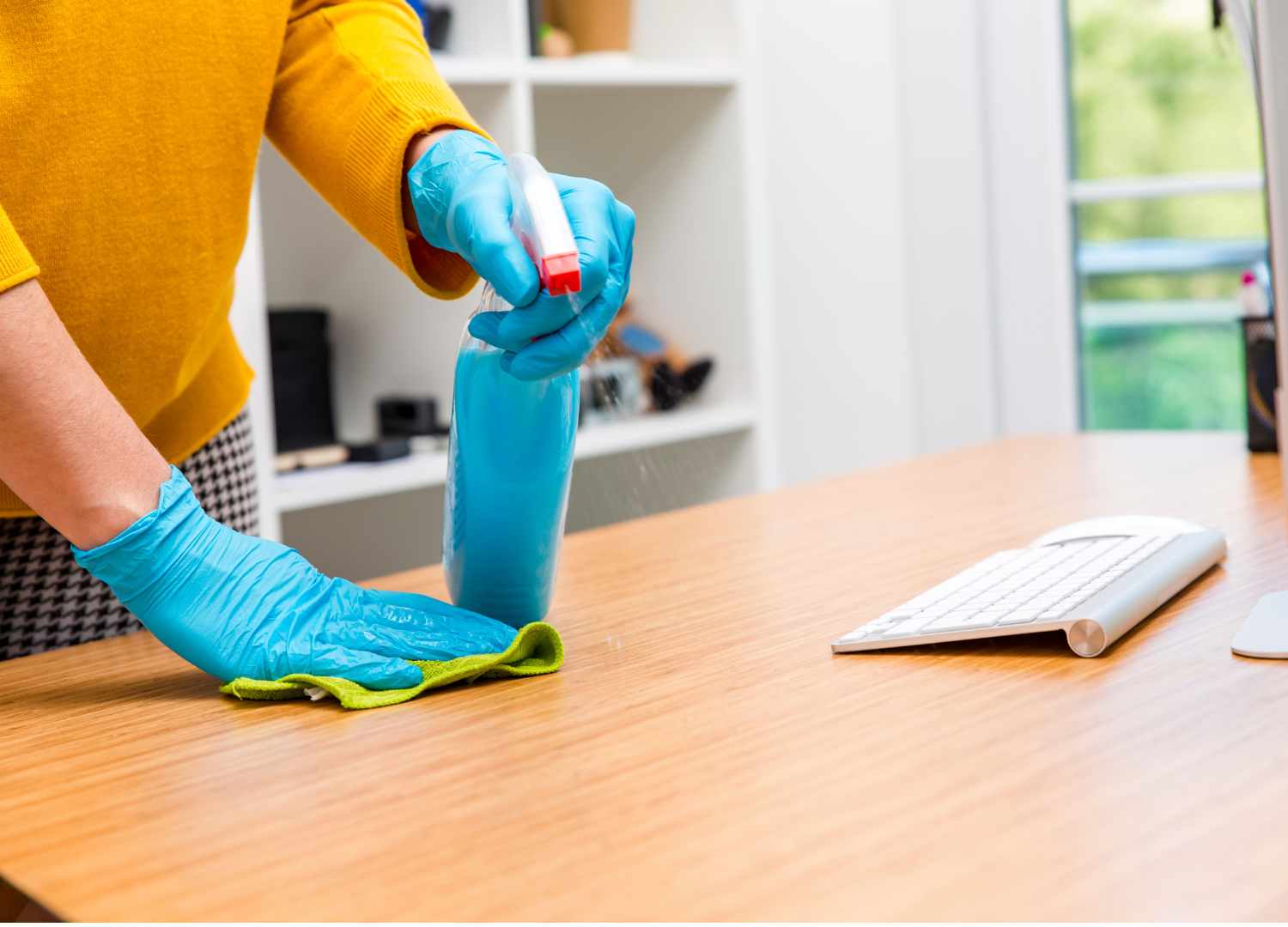 Best House Cleaning Service of KitchenerWaterloo (Insured) Hellamaid