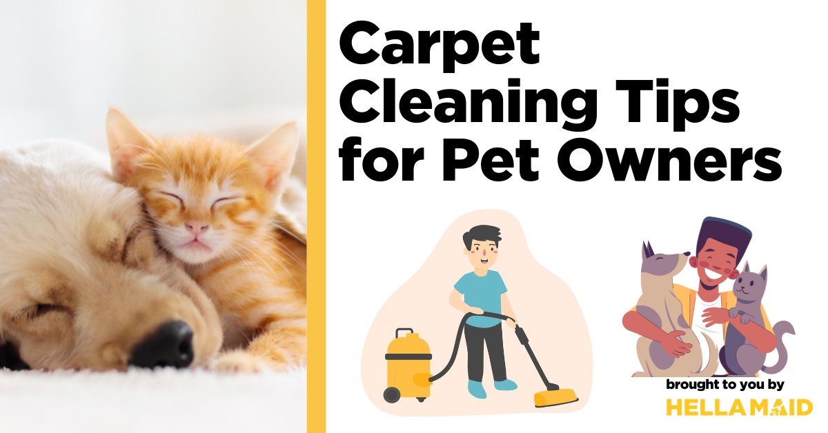 Carpet Cleaning Tips for Pet Owners Keeping Your Home Spotless