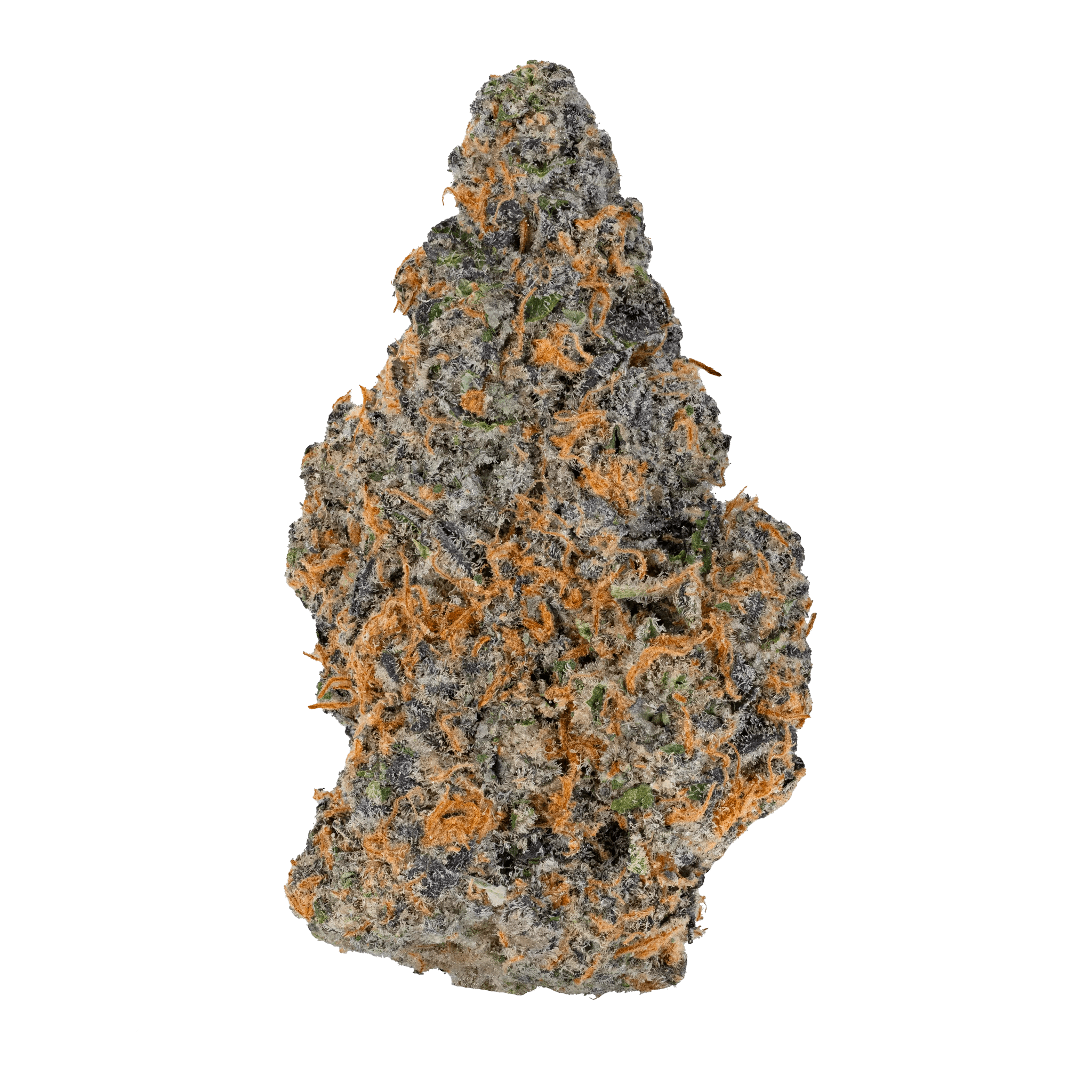 Carbon Fiber Hella Slumped