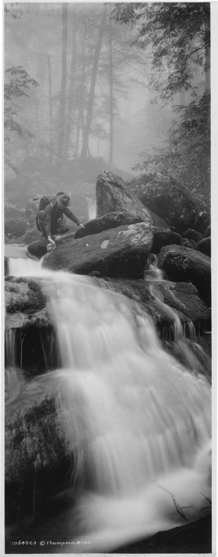 Hellbender Press Before FDR, the artists and the auto dealers How Knoxville influenced early