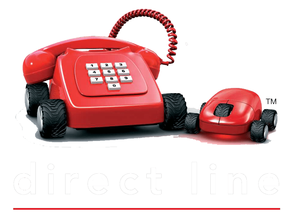 What Are The Best Pet Insurance for Older Dogs? (Update 2020)