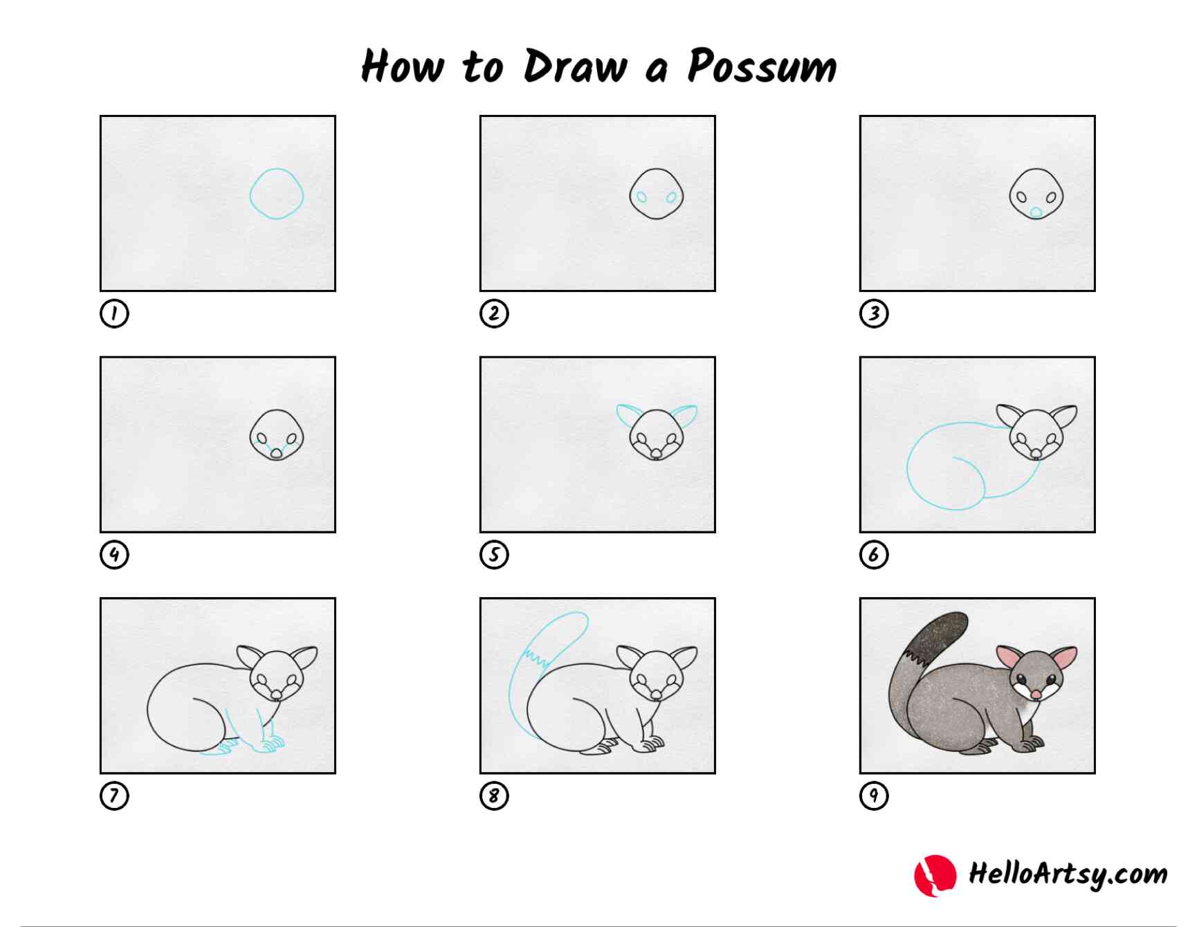 How to Draw a Possum HelloArtsy