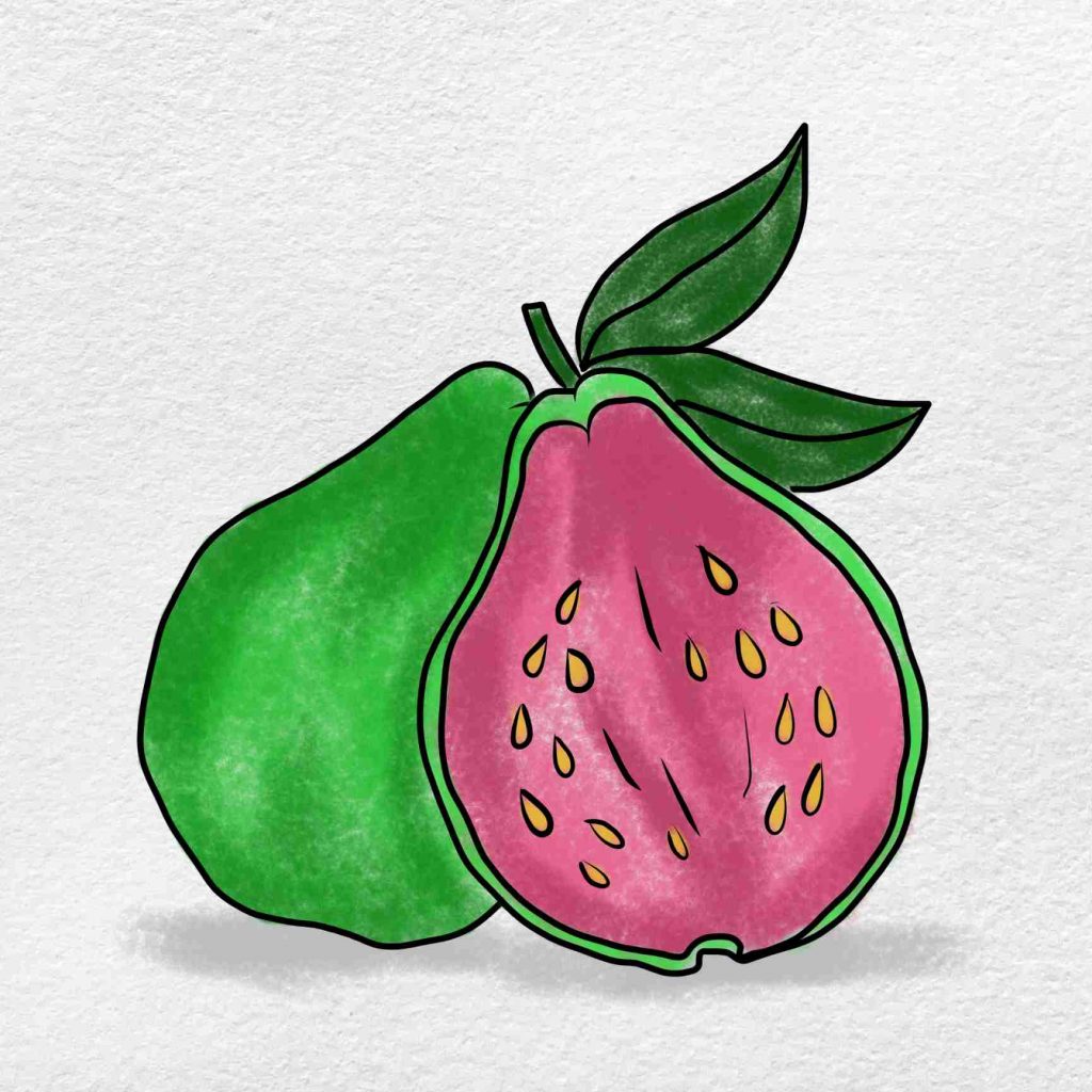How to Draw a Guava Maggard Spoicken