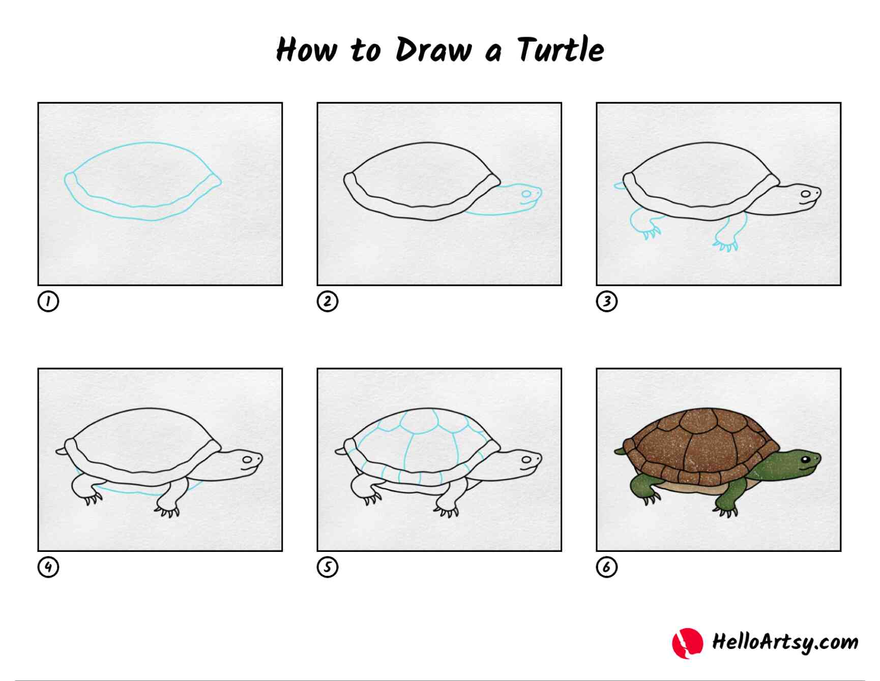 How to Draw a Turtle HelloArtsy