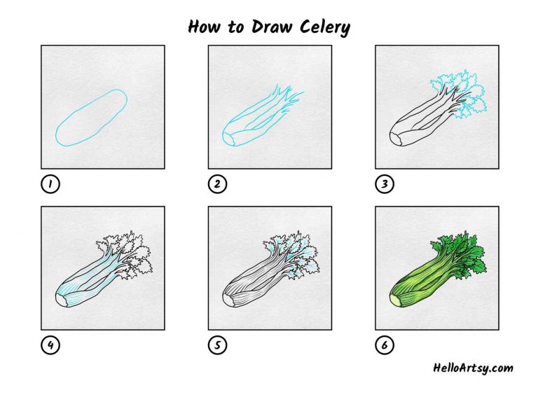 How to Draw Celery Eakins Lingetals