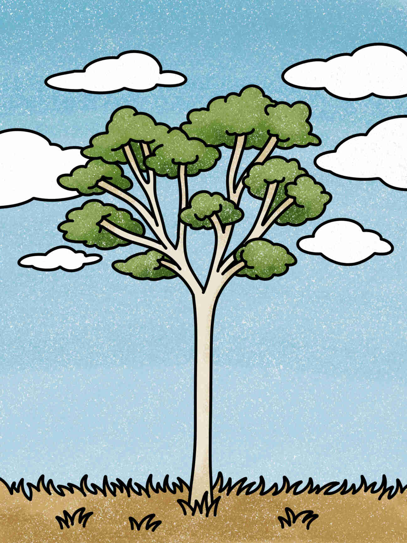 Eucalyptus Tree Drawing Helloartsy