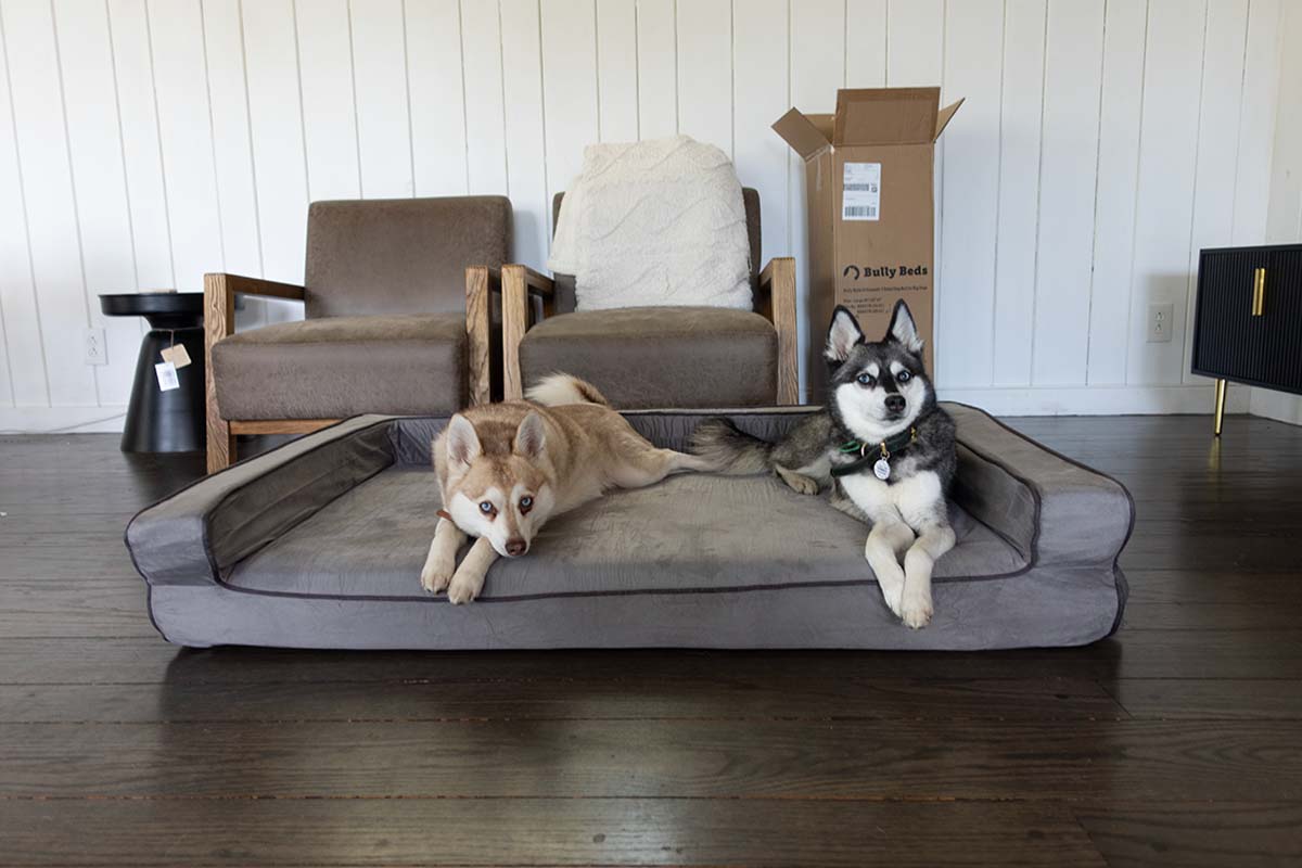 Bully Beds Orthopedic Bolster Bed Review • helloBARK!