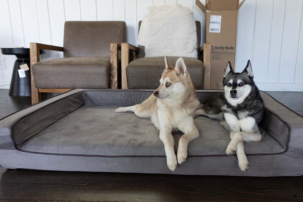 Bully Beds Orthopedic Bolster Bed Review • helloBARK!