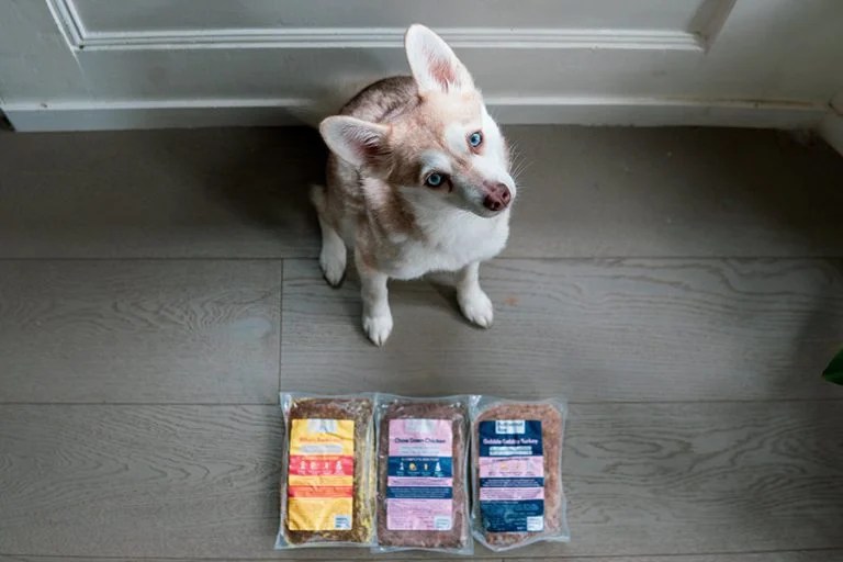 Best Dog Food Delivery UK 2023 helloBARK!