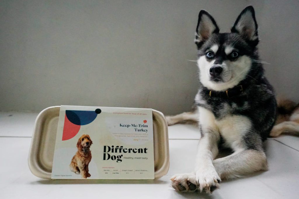 Best Dog Food Delivery UK 2023 (Tried and Tested) • helloBARK!