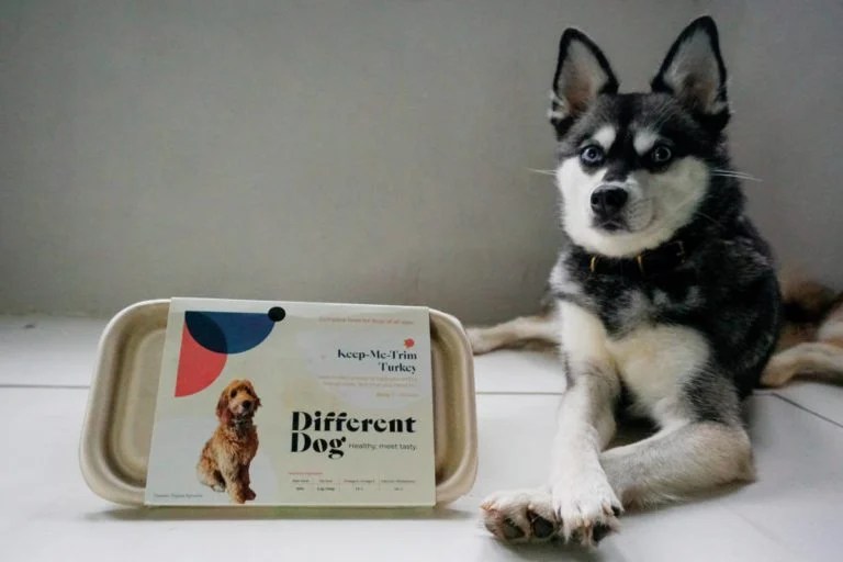 Best Dog Food Delivery UK 2023 (Tried and Tested) • helloBARK!