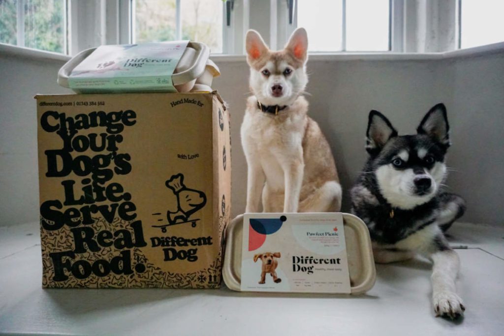 Best Dog Food Delivery UK 2023 (Tried and Tested) • helloBARK!
