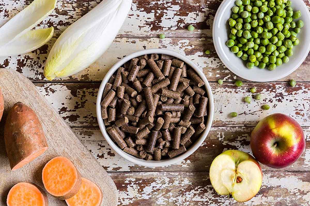 Best Dog Food UK 2023 Fresh Raw AirDried Freezedried