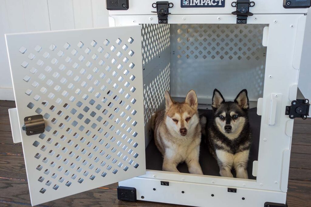 Impact Dog Crates Review • helloBARK!