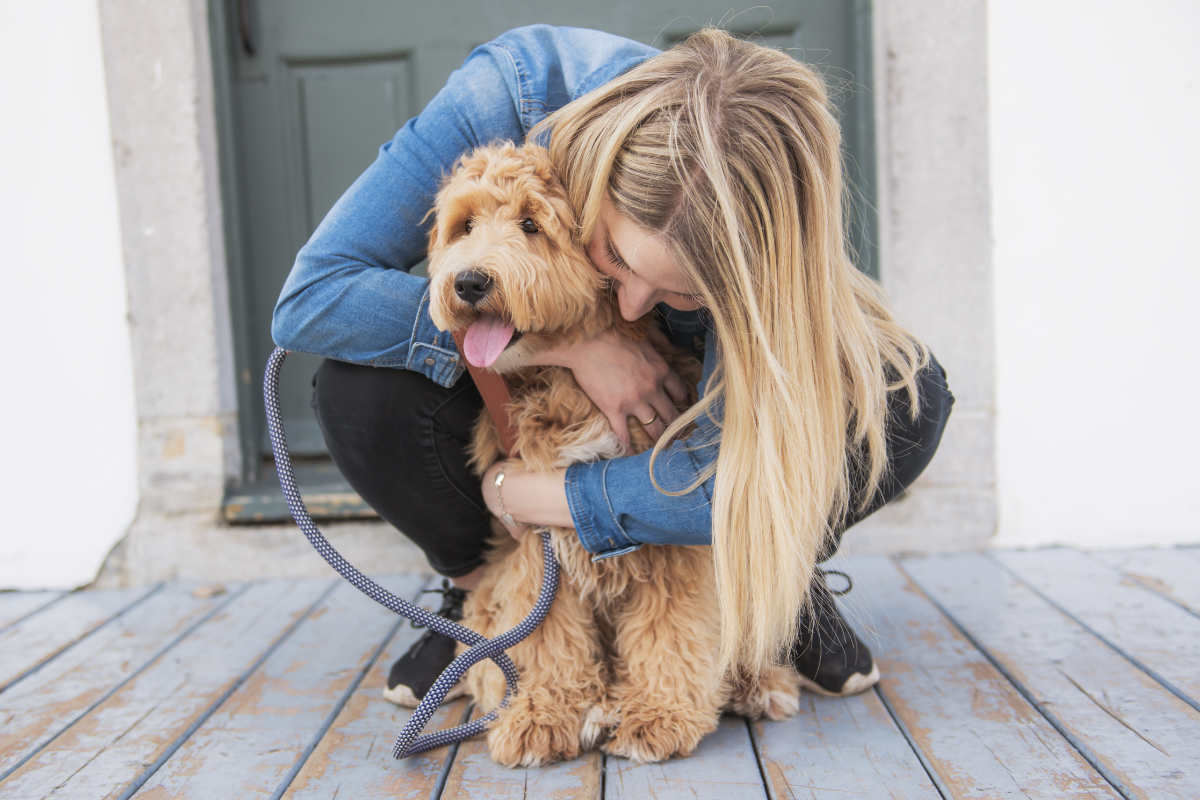 Are Irish Doodles Hypoallergenic? • helloBARK!