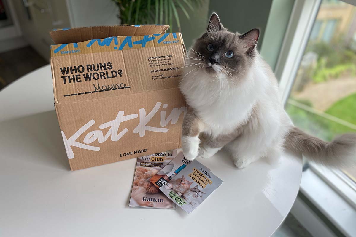 Best Cat Food Delivery UK 2023 (Tried and Tested) • helloBARK!