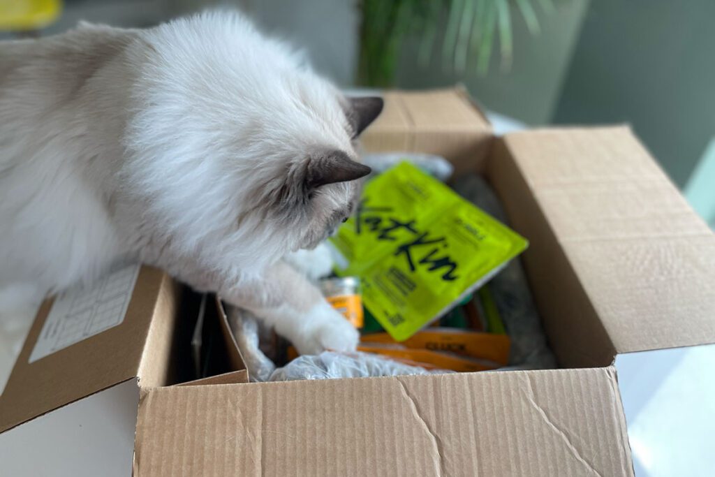 KatKin vs Untamed Cat Food Reviews (Tried and Tested) • helloBARK!