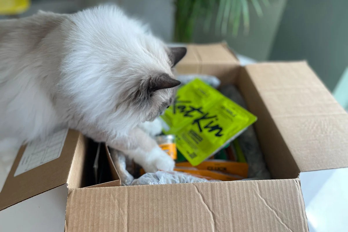 KatKin Vs Blink! Cat Food Reviews • helloBARK!