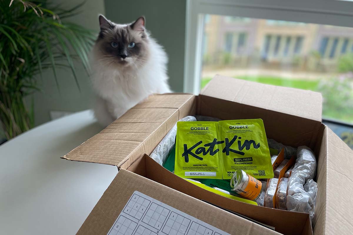 KatKin vs Untamed Cat Food Reviews (Tried and Tested) • helloBARK!