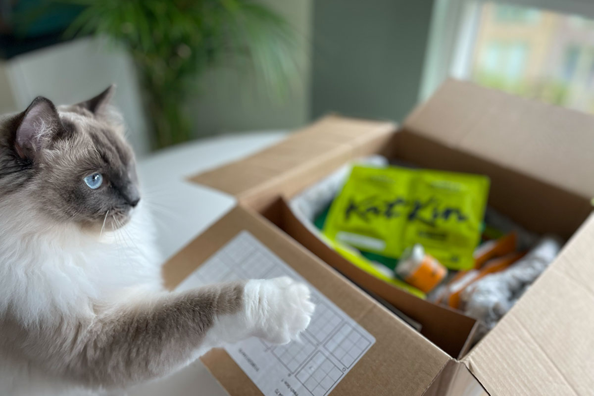 Best Cat Food Delivery UK 2023 helloBARK!