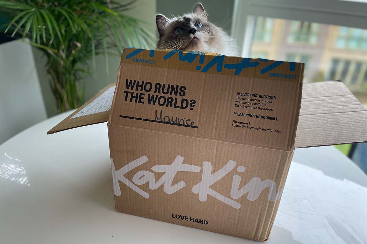 KatKin Fresh Cat Food Review • helloBARK!