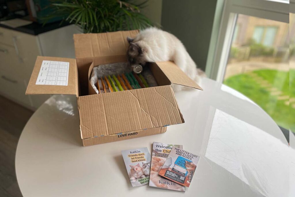 How Much Is KatKin Per Month? Is KatKin Really Worth It?