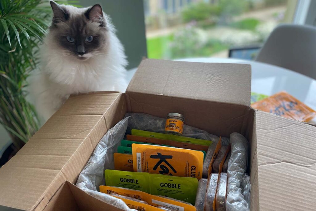 KatKin Fresh Cat Food Review • helloBARK!